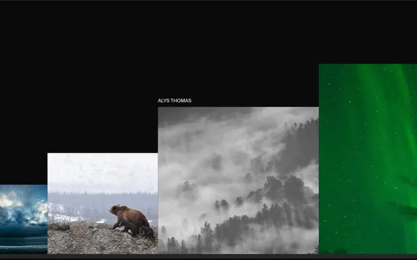 Image Stepped Slider