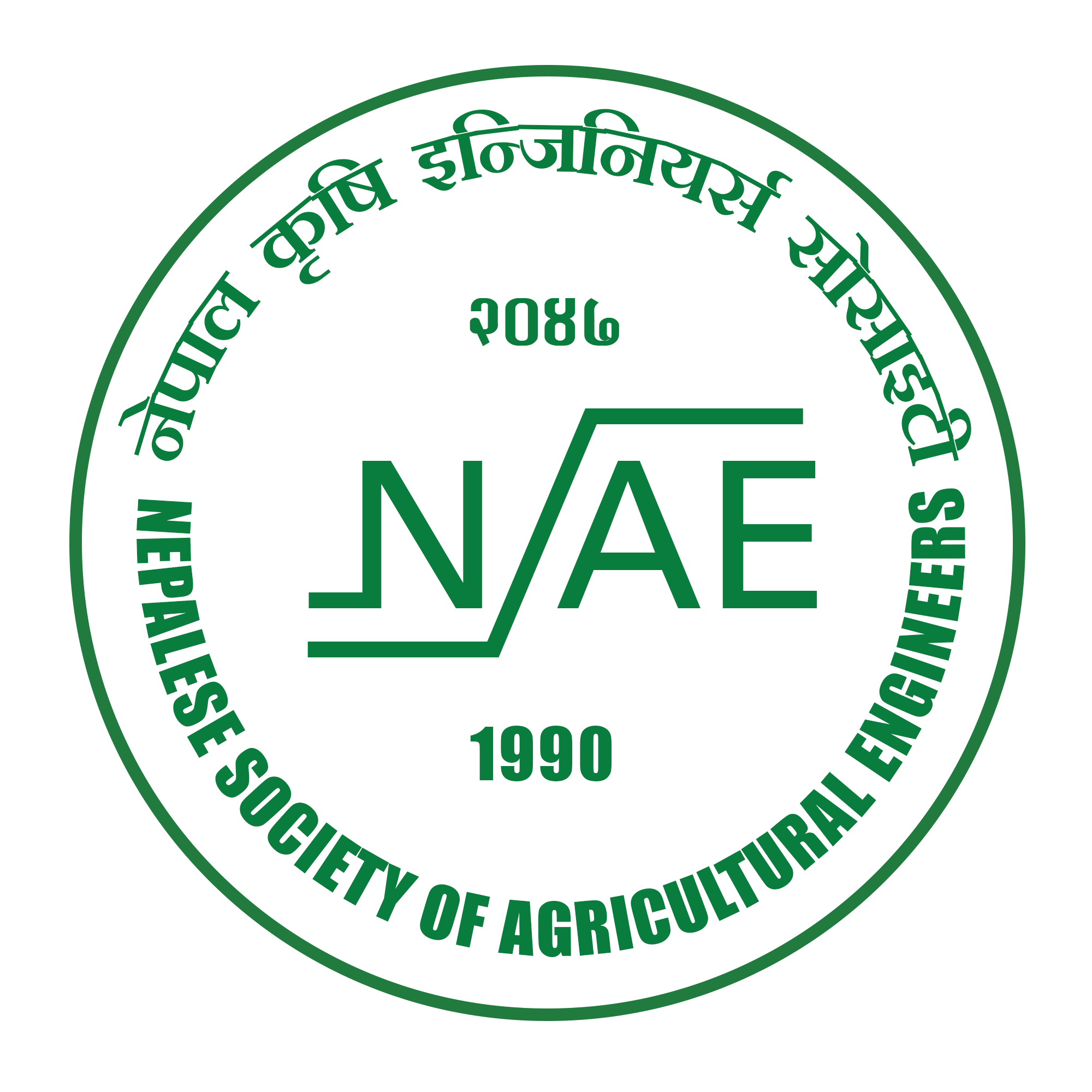 NSAE